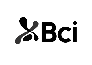 12- BCI