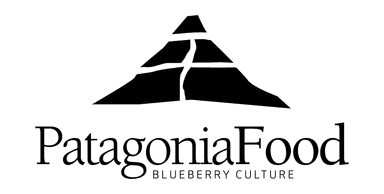 1785253614763-ewqzkfcsa5