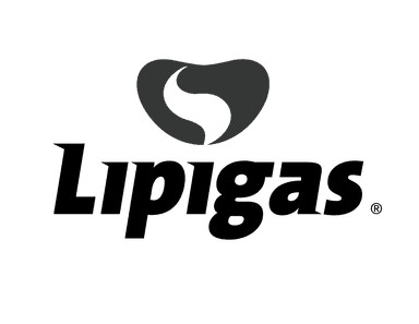 40- LIPIGAS